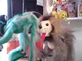 Crazy Creatures