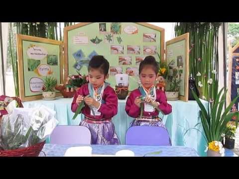 กุหลาบใบเตย...ลดโลกร้อน