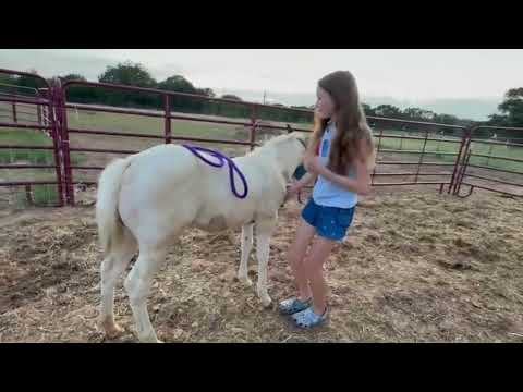 Foot Training with Trissy