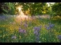 Highgrove: Discover its sustainable secrets