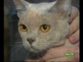 Burmese05 (16.57-20.26).avi