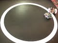 autonomous minisumo vs remote controlled bot