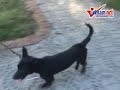 Cảm nhận nhịp điệu Hà Nội cùng anh 