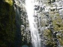 Waimoku Falls - Maui
