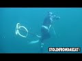 Helldiver Spearfishing Cobia off coast of Lousiana