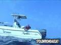 Helldiver Spearfishing Cobia off coast of Lousiana