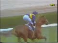 1985 (349) Premio AUDI (Grupo III) (INDIAN PRINCE)