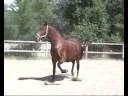 JUNE 2007 65 QUESESA.wmv JUNE 2007 65 QUESESA.wmv