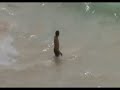 Revolcones en Tulum 2008