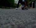 raulos longskate: otoñal-ride