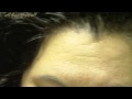 Topaz Eyes November birthstone make up tutorial