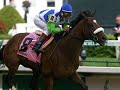 Goodbye Barbaro
