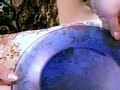 My Kombucha Mushroom My Kombucha Mushroom