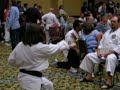 Karate Tournament! Karate Tournament!