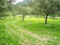 Εικόνα 071