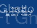 akala & ms dynamite ft ghetto & big seac - nobody. enjoy : )