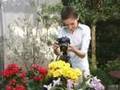 Canon EOS 450D Digital Rebel XSi Camera - New EOS 450 DSLR