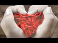 Most Romantic Songs Of All Time Most Romantic Songs Of All Time