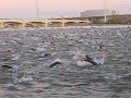 Ironman Arizona Swim Start Ironman Arizona Swim Start