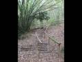 videos de Parque Municipal de Maceió