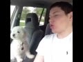 Epic Dog Sings With Owner