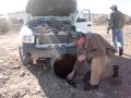 Welding with jumper cables,The Brigham Tea co