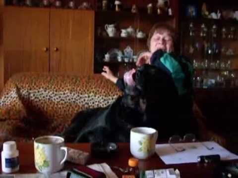 Baronek a panička