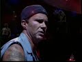 I could have lied live -- Red Hot chili peppers