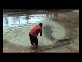 Sk Benoni buaya tembaga marah 08