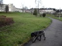 Meesha at 8 months old