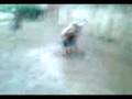 videos de futball villa.3gp