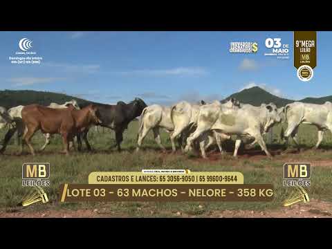 9� MEGA LEIL�O DA MB LEIL�ES