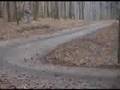 WRC  Solberg Test Subaru MC2007