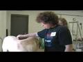 August 2008 Graduate Video