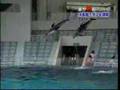 Tohoshinki Dolphin Training