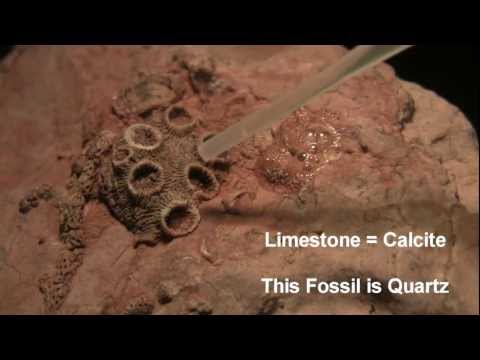 how to dissolve apatite