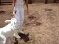 videos de Bezerrinha andando atrás de mim