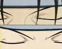 Birds of Anime