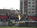 korida,novi,sad