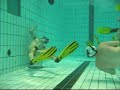 Trening 25.11.08.wmv
