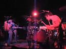 Fools - The Dodos