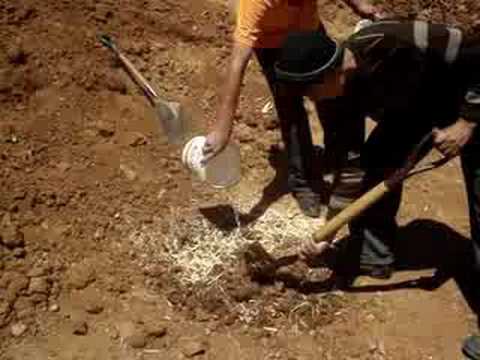 Ver Video