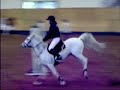 Showjumping Showjumping