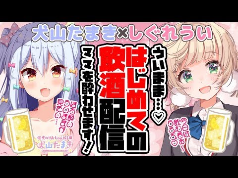 動画