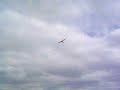 Motoplanador  não é k 6 é um ask 18