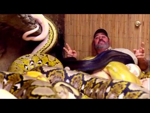 YouTube reptile video