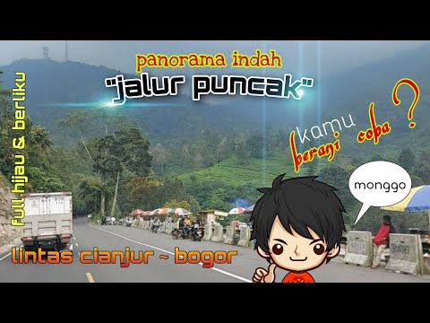 Jalur Puncak | Lintas Cianjur Bogor