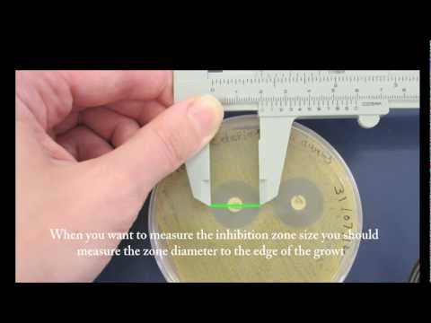 how to measure zone of inhibition bacteria