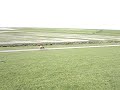 Click here to watch this video Race op de Solex