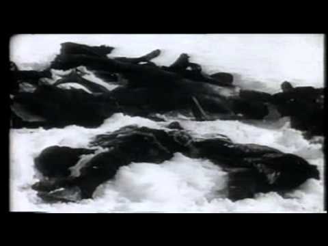 Causas y antecedentes de la Revolución Rusa
